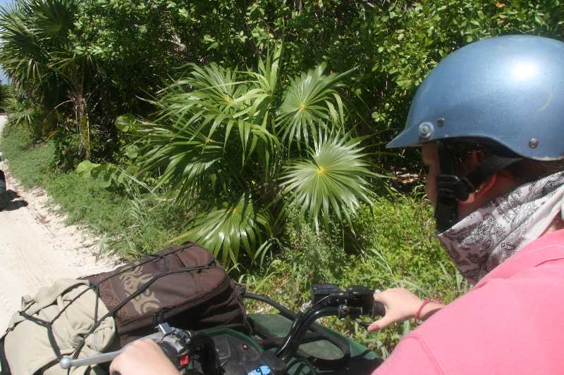 Mexico & Guatemala 2010 - 1297